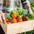 L'ITALIA DEI BIODISTRETTI a prova di filiera e qualità